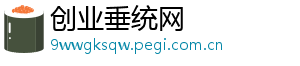 创业垂统网